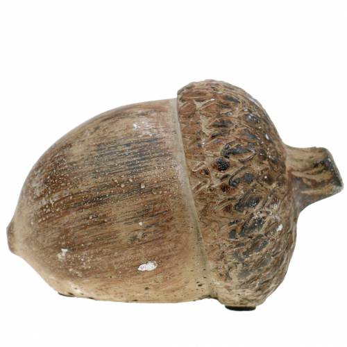 Floristik24 Decorative figure acorn brown 11cm x 8cm x 7cm 3pcs