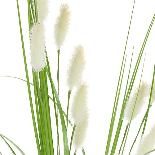 Floristik24 Decorative grass green L85cm