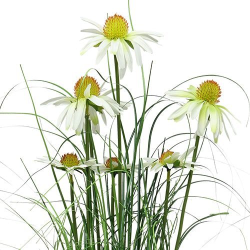 Floristik24 Decorative grass with chamomile in a pot Artificial 66cm