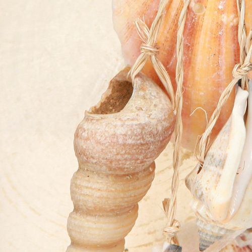 Floristik24 Decorative hanger Beach House Blue Capiz tower snail H25cm
