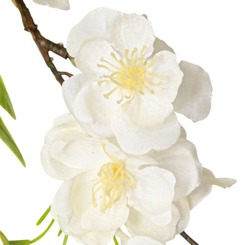 Floristik24 Decorative Hanging Cherry Blossom Artificial Flowers Garland White 170cm