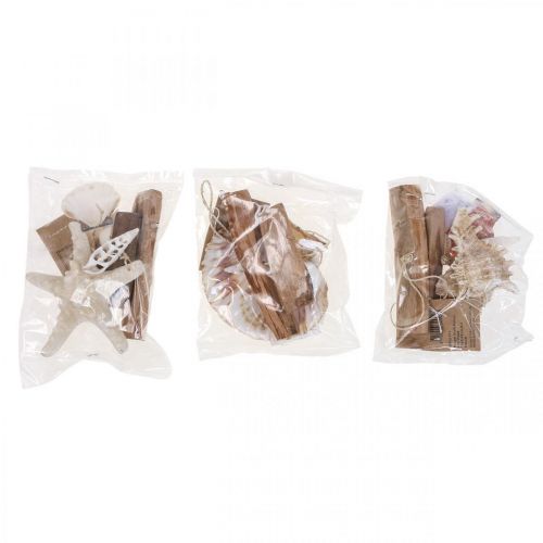 Floristik24 Deco hanger maritime hanging decoration shells starfish 27cm 3pcs