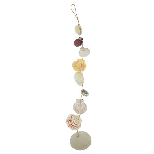 Decorative hanger maritime shell decoration natural Ø5–10cm 70cm