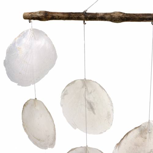 Floristik24 Maritime deco hanger shell wind chime on driftwood branch L65cm