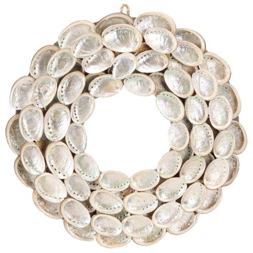 Floristik24 Decorative wreath wood abalone snails white natural H30cm