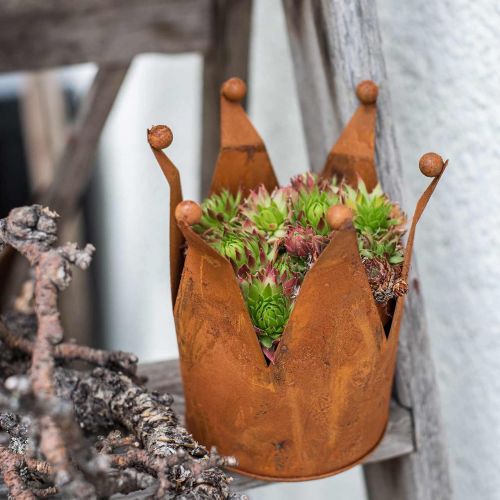 Floristik24 Decorative crown, metal decoration, patina Ø15cm H11.5cm