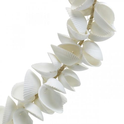 Floristik24 Seashell heart, maritime Valentine's Day decoration, decorative heart made of shells, sea decoration 34×34cm