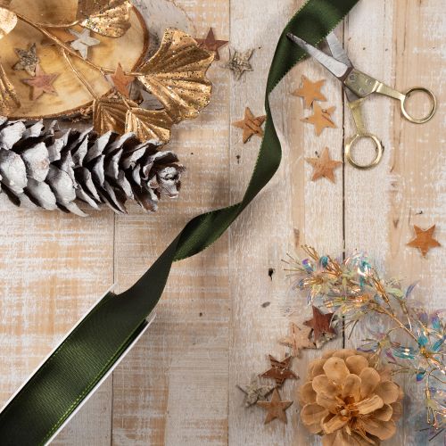 Decorative ribbon, shiny taffeta ribbon for decoration, 25mm wide, 50m long | Floristik24.ie