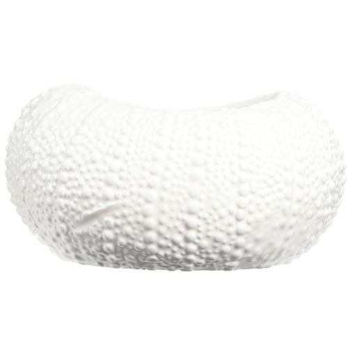 Product Decorative Bowl Ceramic Maritime Oval in White 19x15x8.5cm
