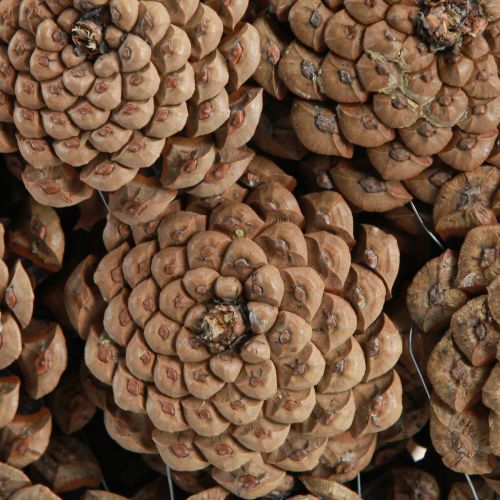 Floristik24 Decorative bowl pine cones in natural brown Ø35cm H15cm
