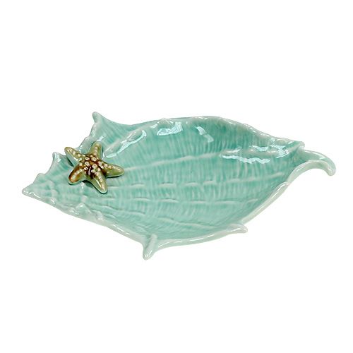 Floristik24 Decorative shell clam 22cm