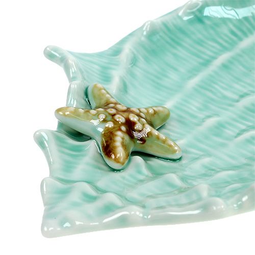 Product Decorative shell clam 22cm