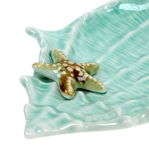 Floristik24 Decorative shell clam 22cm