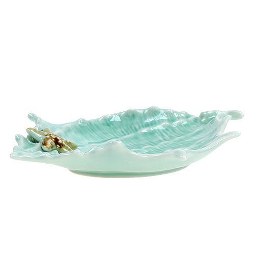 Floristik24 Decorative shell clam 22cm