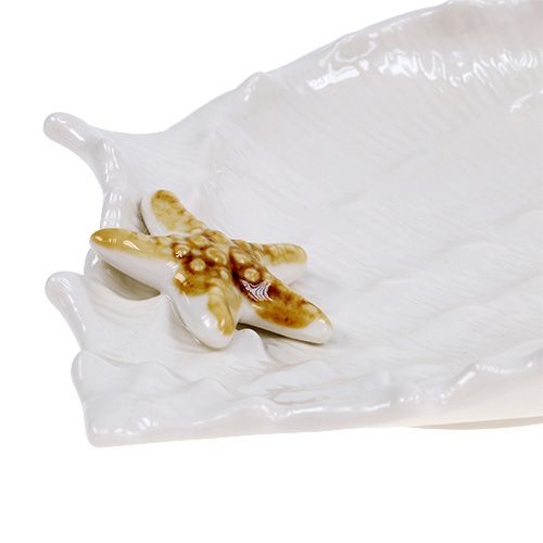 Product Decorative shell shell with starfish 22cm