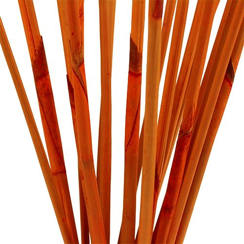 Product Decorative sticks Elephant Reed Orange 20pcs