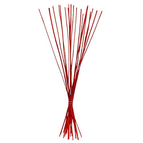 Floristik24 Decorative sticks, Elephant Reed Red 20 pcs