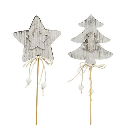 Floristik24 Decorative plug fir, star gray-white 6-7cm 16pcs