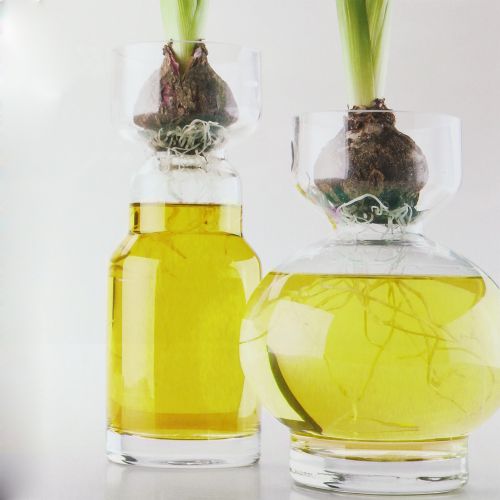 Floristik24 Decorative water yellow 150ml