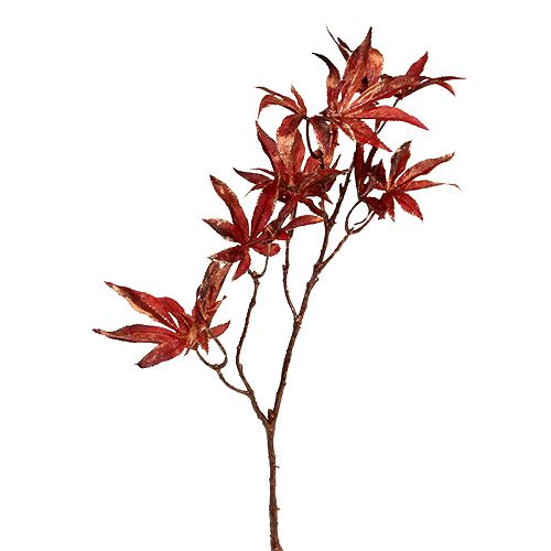 Floristik24 Decorative branch dark red with mica 52cm