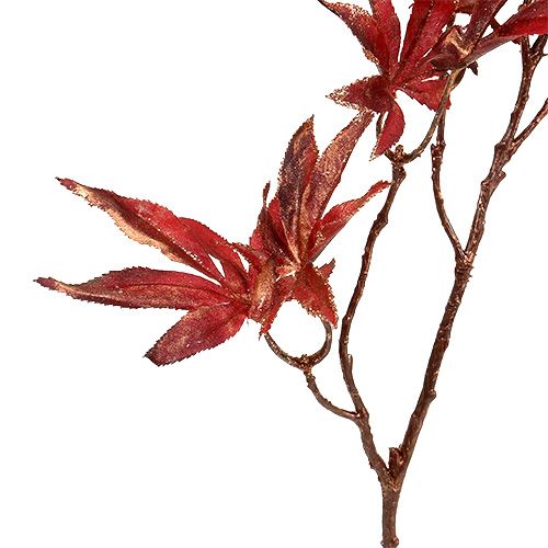 Floristik24 Decorative branch dark red with mica 52cm