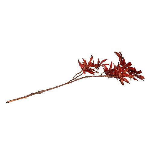 Floristik24 Decorative branch dark red with mica 52cm