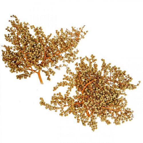 Floristik24 Decorative Branches Berries Dried Hemp Palm Palm Uva Natural 1kg