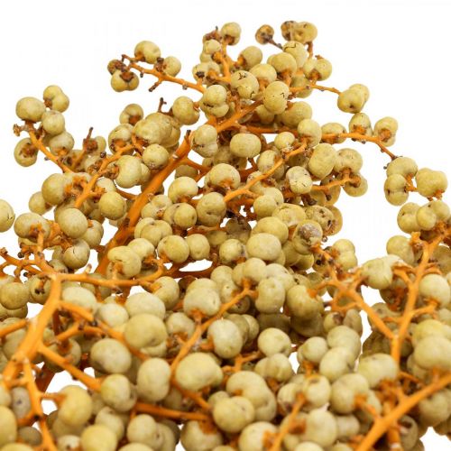 Floristik24 Decorative Branches Berries Dried Hemp Palm Palm Uva Natural 1kg