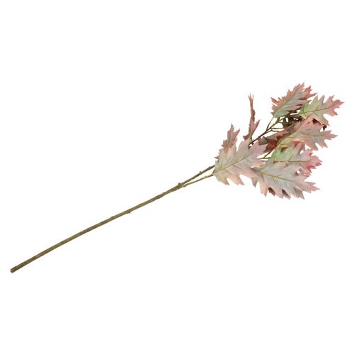 Floristik24 Deco branch autumn deco leaves oak leaves red, green 100cm