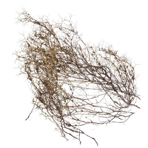 Floristik24 Deco branches Iron Bush branches natural decoration wood nature 250g