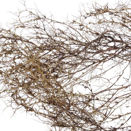 Floristik24 Deco branches Iron Bush branches natural decoration wood nature 250g