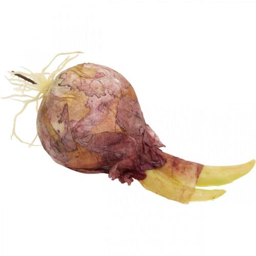 Floristik24 Deco onions with roots artificial vegetables 7.5/10cm 9pcs