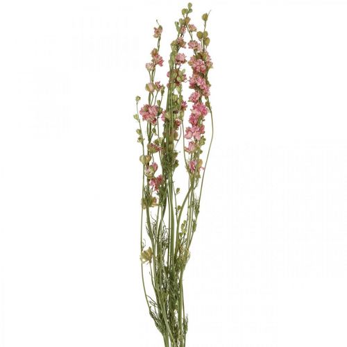 Floristik24 Dried (artificial) Delphinium pink larkspur, decorative flower vase 64cm 25g