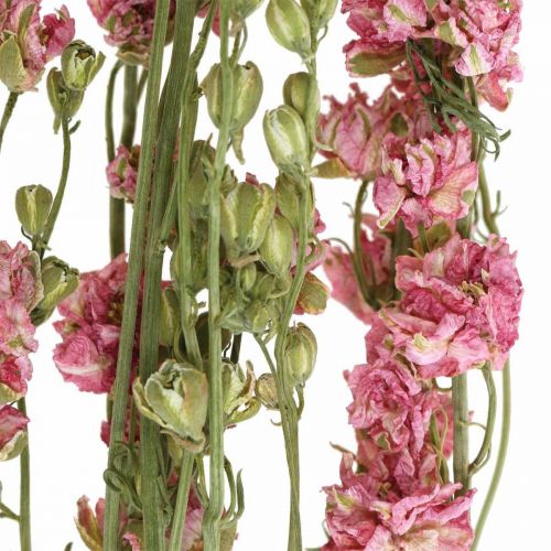 Product Dried (artificial) Delphinium pink larkspur, decorative flower vase 64cm 25g