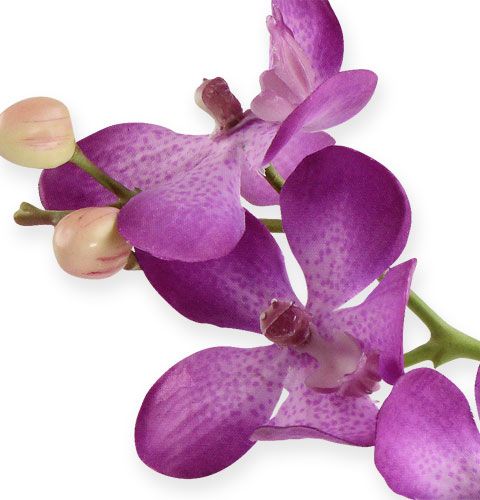 Product Orchid lilac 38cm