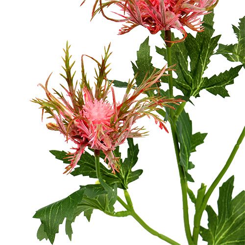 Product Thistle branch pink, green L67cm 4pcs