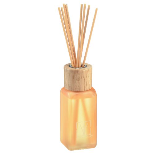 Room Fragrance Diffuser Glass Ginger Camila Fragrance Sticks 100ml