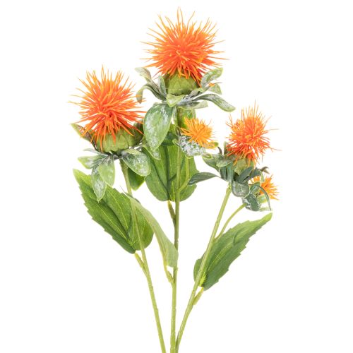 Artificial orange safflower as an artificial flower for vases and decoration, 55cm, 4 pieces | Floristik24.ie