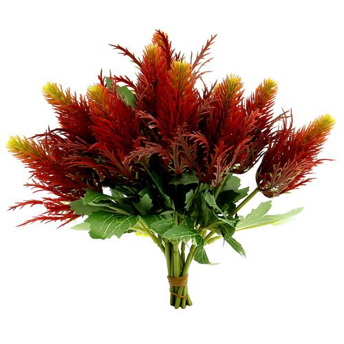 Floristik24 Thistle red-green 20cm 12pcs
