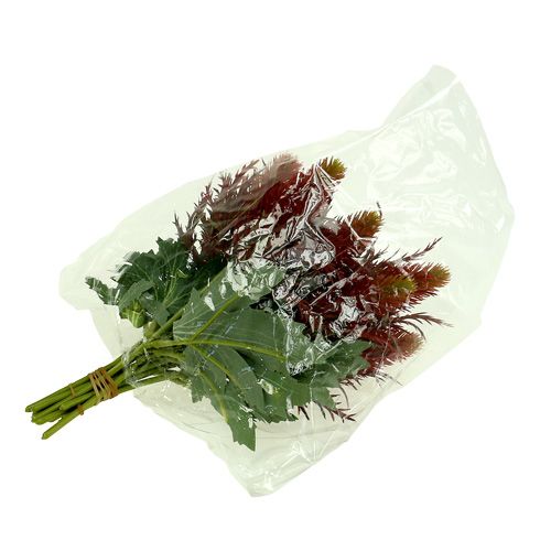 Floristik24 Thistle red-green 20cm 12pcs