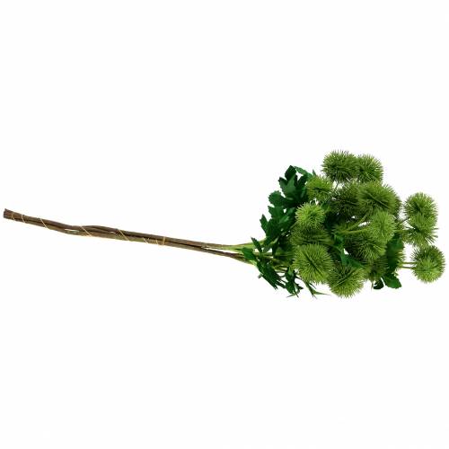 Floristik24 Thistle silk flower green 56cm 3pcs