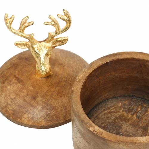 Floristik24 Box of mango wood with deer head golden Ø10cm H15cm