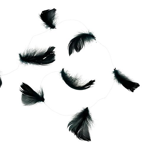 Floristik24 Wire with spring black 10m