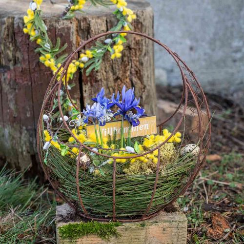 Floristik24 Wire Basket Metal Planter Spring Decoration Easter Basket Brown Patina H34cm L30cm