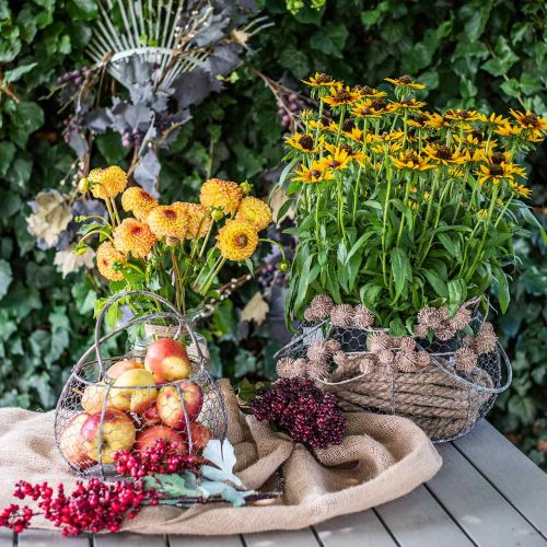 Floristik24 Wire basket shabby chic wire mesh basket garden decoration Ø37/26cm set of 2