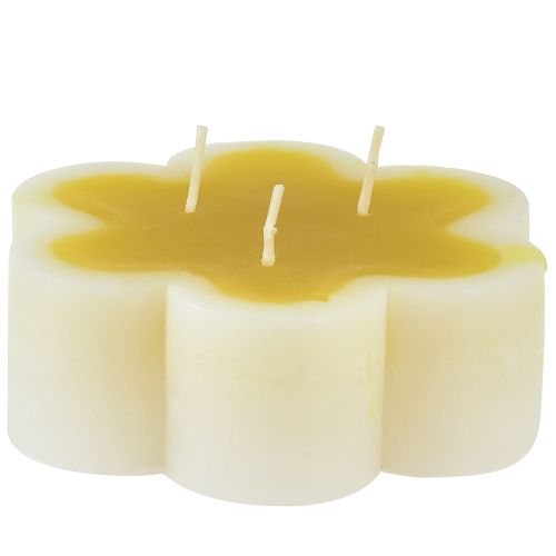 Floristik24 Three-wick candle decorative flower candle yellow white Ø11.5cm H4cm