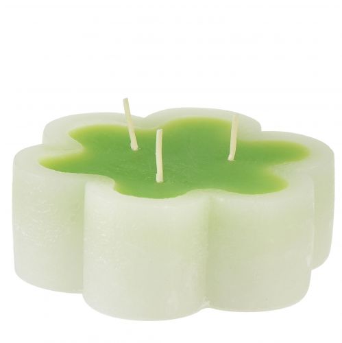 Product Three-wick candle green white shape flower Ø11.5cm H4cm