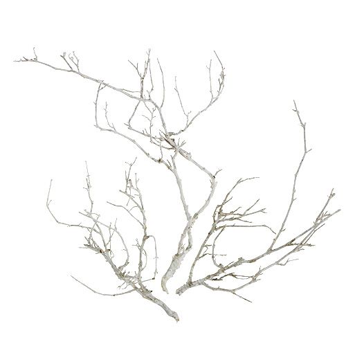 Dried branches White washed Natural décor 10-30cm 500g