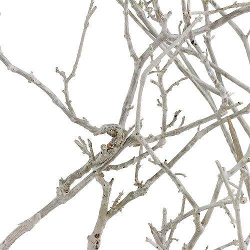 Product Dried branches White washed Natural décor 10-30cm 500g