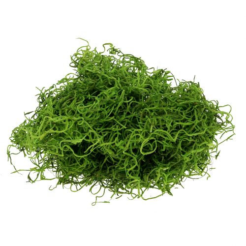 Floristik24 Jungle moss spring green 250g